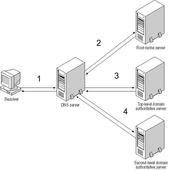 Что делает днс сервер на телефоне. Схема работы DNS сервера. DNS сервер схема. DNS сервер схема подключения. ДНС сервер без доменной зоны.